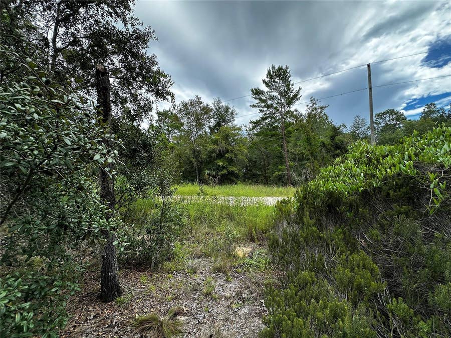 Property photo for 0000 NE 149TH COURT, Williston, FL