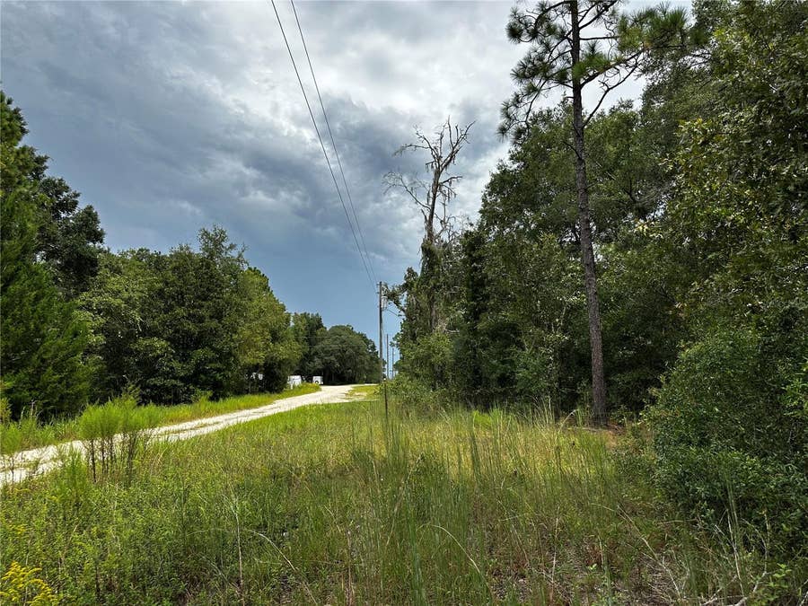 Property photo for 0000 NE 155TH COURT, Williston, FL