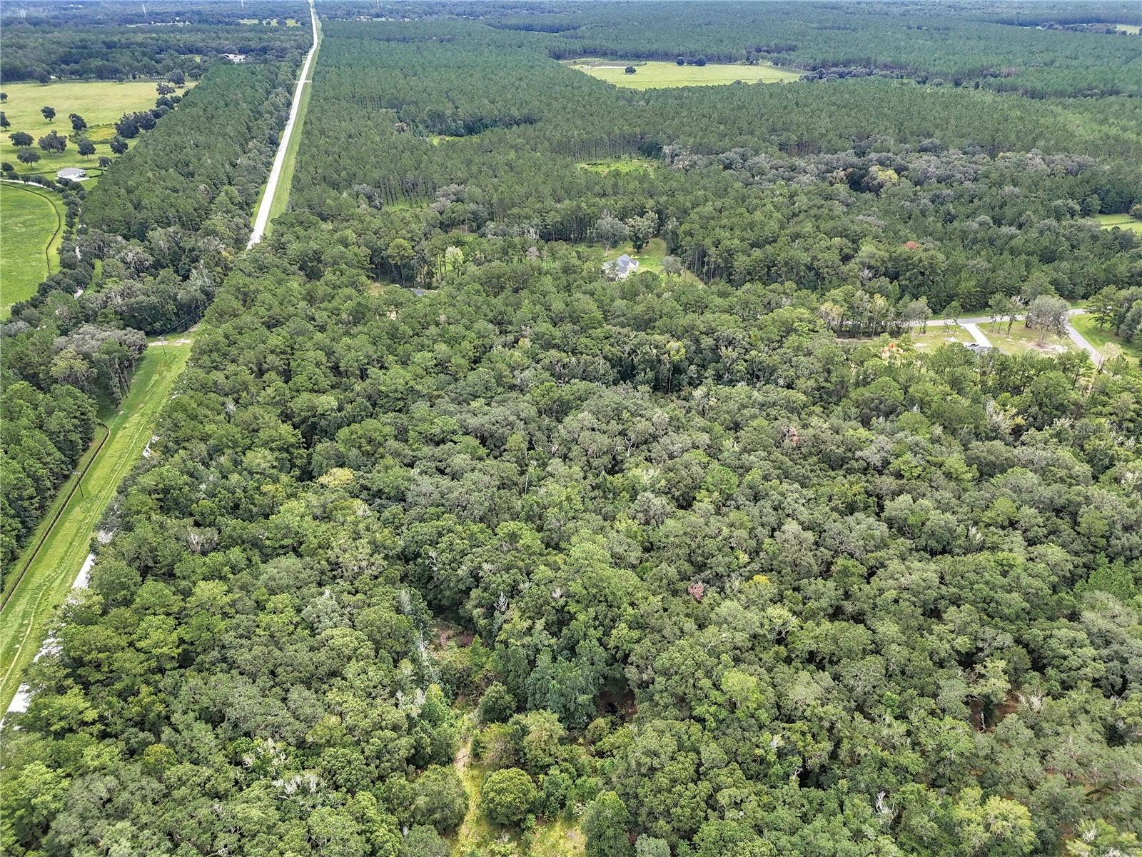 000 NW 141ST AVENUE, Williston, FL 32696 000 NW 141ST AVENUE, Williston, FL 32696