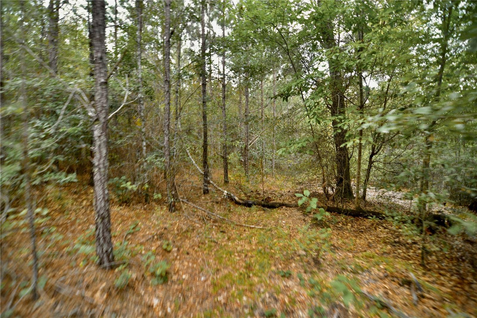 00 OLD FEDERAL ROAD, Quincy, FL 32351 00 OLD FEDERAL ROAD, Quincy, FL 32351