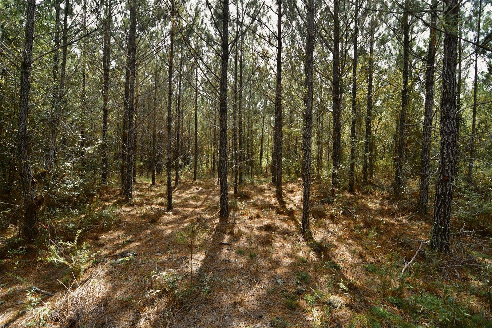 00 OLD FEDERAL ROAD, Quincy, FL 32351 00 OLD FEDERAL ROAD, Quincy, FL 32351