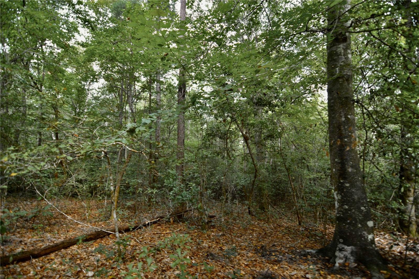 00 OLD FEDERAL ROAD, Quincy, FL 32351 00 OLD FEDERAL ROAD, Quincy, FL 32351