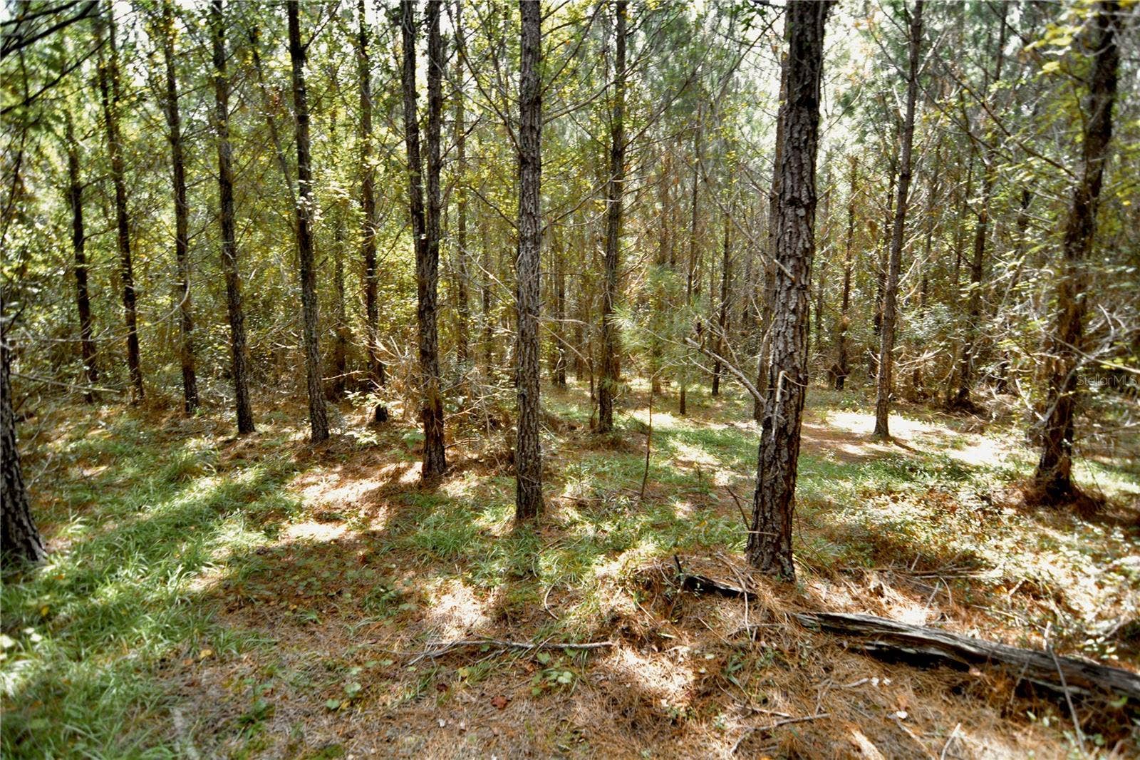 00 OLD FEDERAL ROAD, Quincy, FL 32351 00 OLD FEDERAL ROAD, Quincy, FL 32351