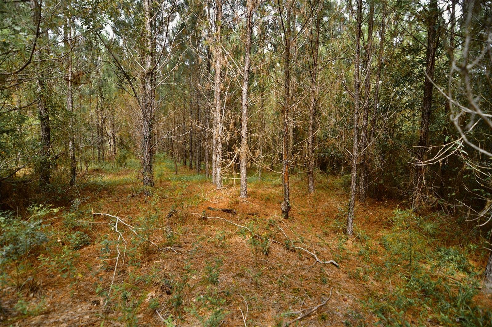 00 OLD FEDERAL ROAD, Quincy, FL 32351 00 OLD FEDERAL ROAD, Quincy, FL 32351