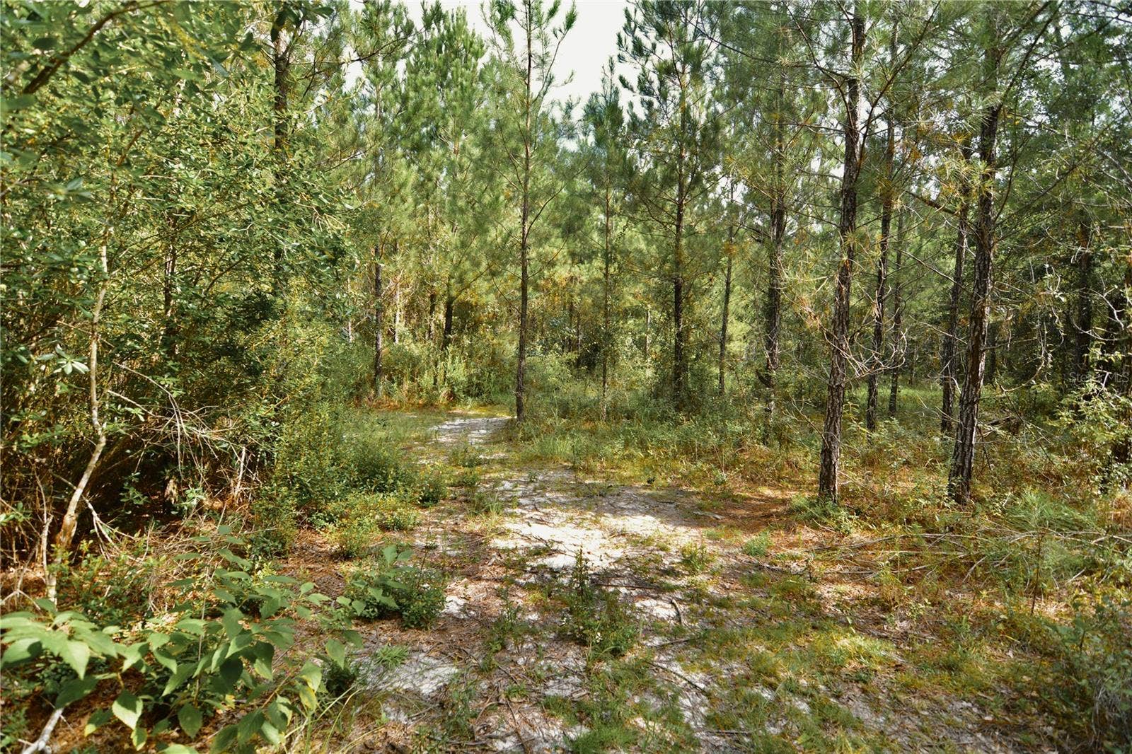 00 OLD FEDERAL ROAD, Quincy, FL 32351 00 OLD FEDERAL ROAD, Quincy, FL 32351