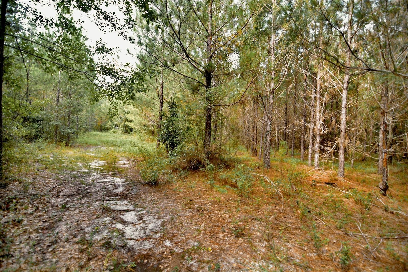 00 OLD FEDERAL ROAD, Quincy, FL 32351 00 OLD FEDERAL ROAD, Quincy, FL 32351