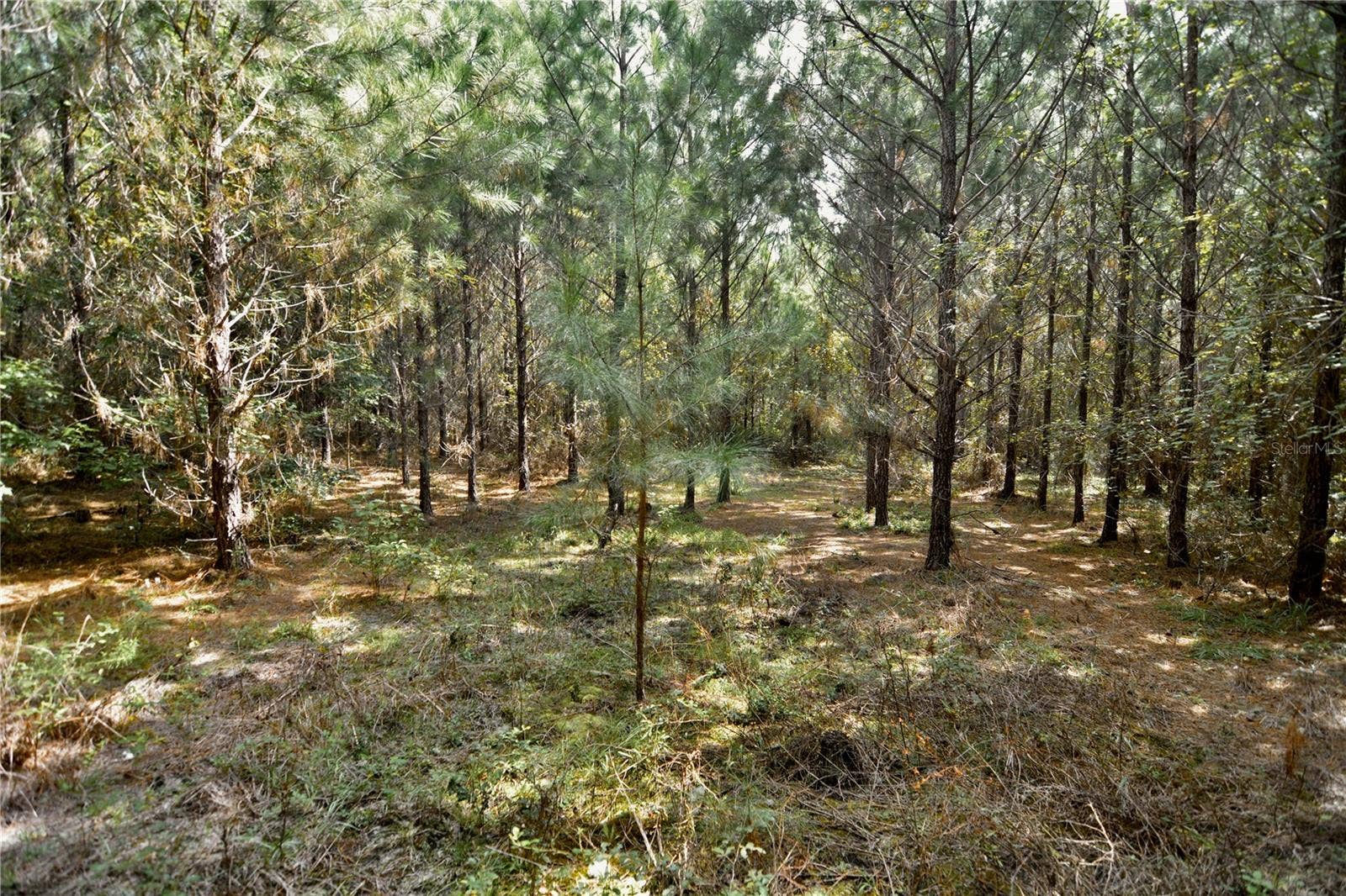 00 OLD FEDERAL ROAD, Quincy, FL 32351 00 OLD FEDERAL ROAD, Quincy, FL 32351