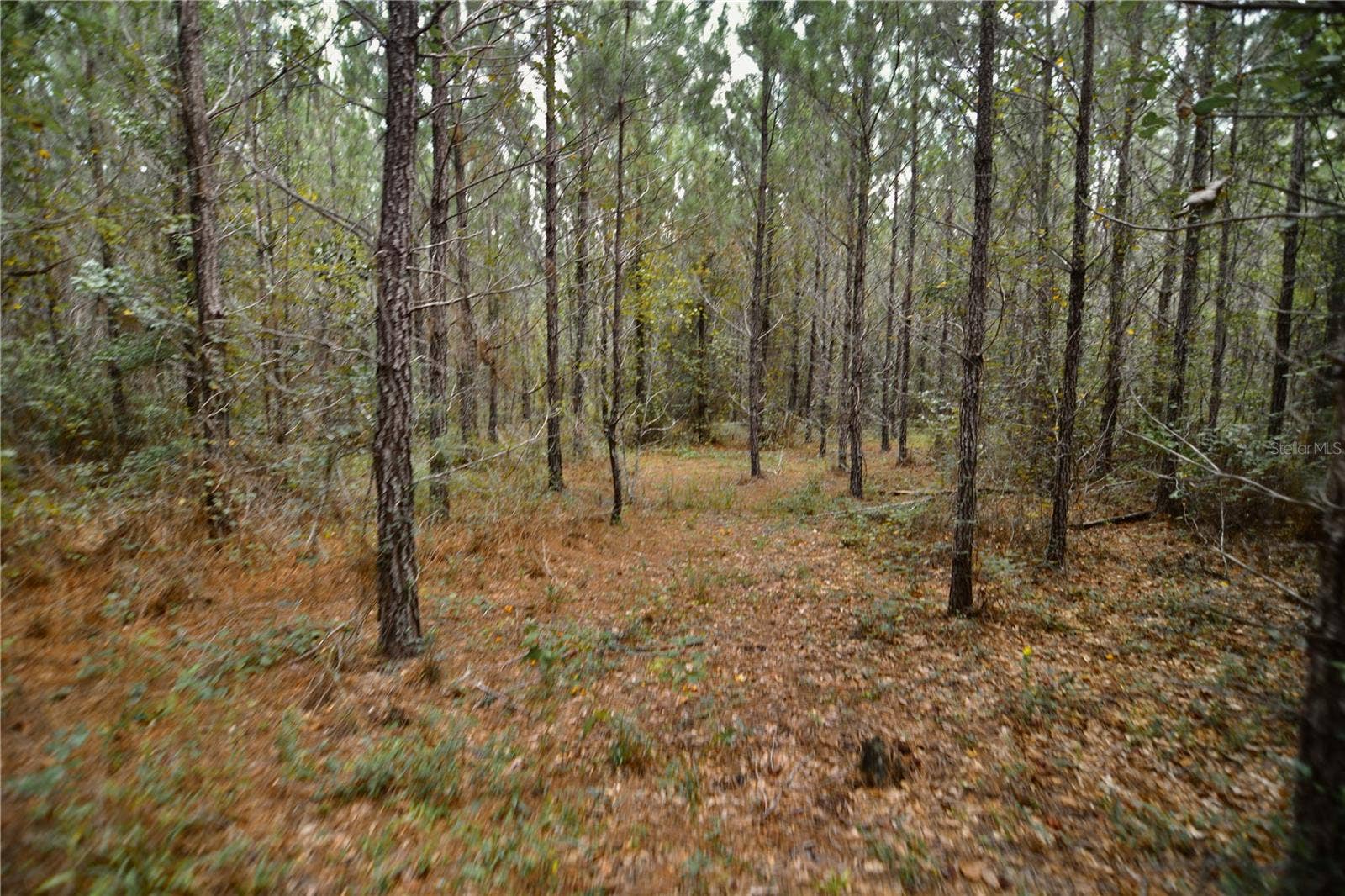 00 OLD FEDERAL ROAD, Quincy, FL 32351 00 OLD FEDERAL ROAD, Quincy, FL 32351