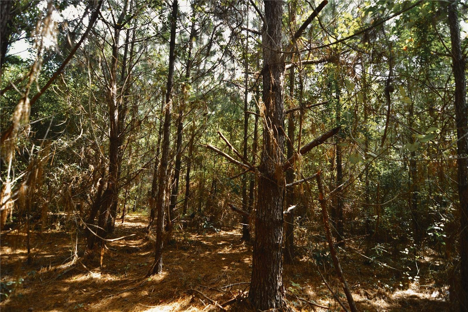 00 OLD FEDERAL ROAD, Quincy, FL 32351 00 OLD FEDERAL ROAD, Quincy, FL 32351