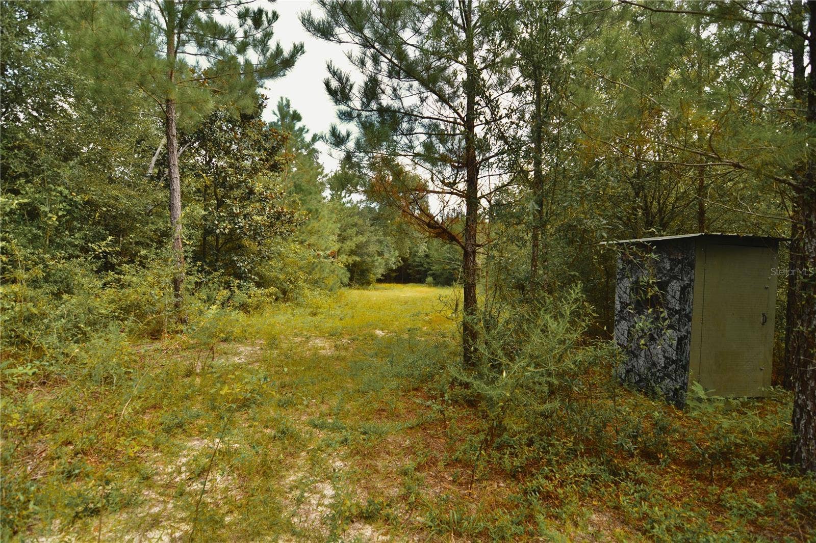 00 OLD FEDERAL ROAD, Quincy, FL 32351 00 OLD FEDERAL ROAD, Quincy, FL 32351