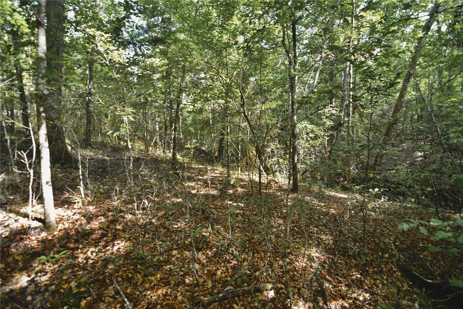 00 OLD FEDERAL ROAD, Quincy, FL 32351 00 OLD FEDERAL ROAD, Quincy, FL 32351