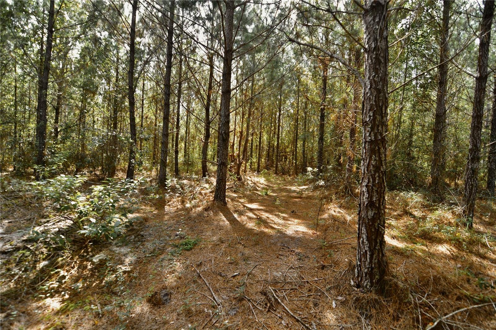 00 OLD FEDERAL ROAD, Quincy, FL 32351 00 OLD FEDERAL ROAD, Quincy, FL 32351