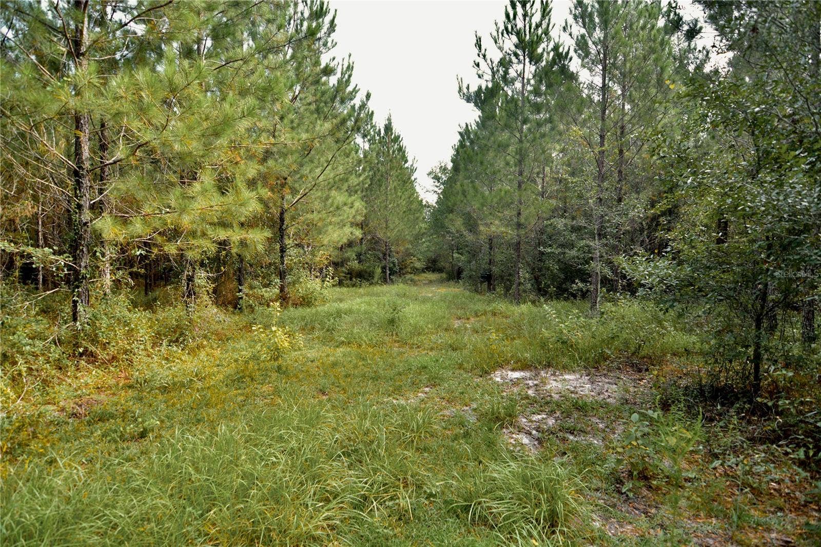 00 OLD FEDERAL ROAD, Quincy, FL 32351 00 OLD FEDERAL ROAD, Quincy, FL 32351