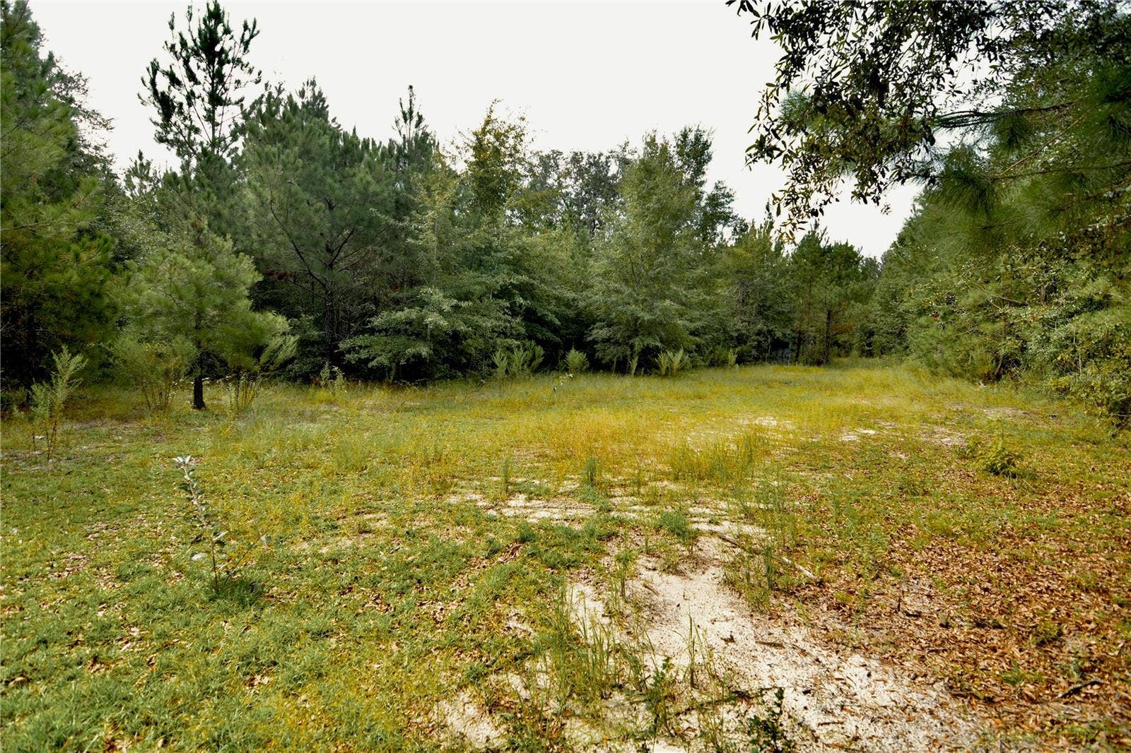 00 OLD FEDERAL ROAD, Quincy, FL 32351 00 OLD FEDERAL ROAD, Quincy, FL 32351