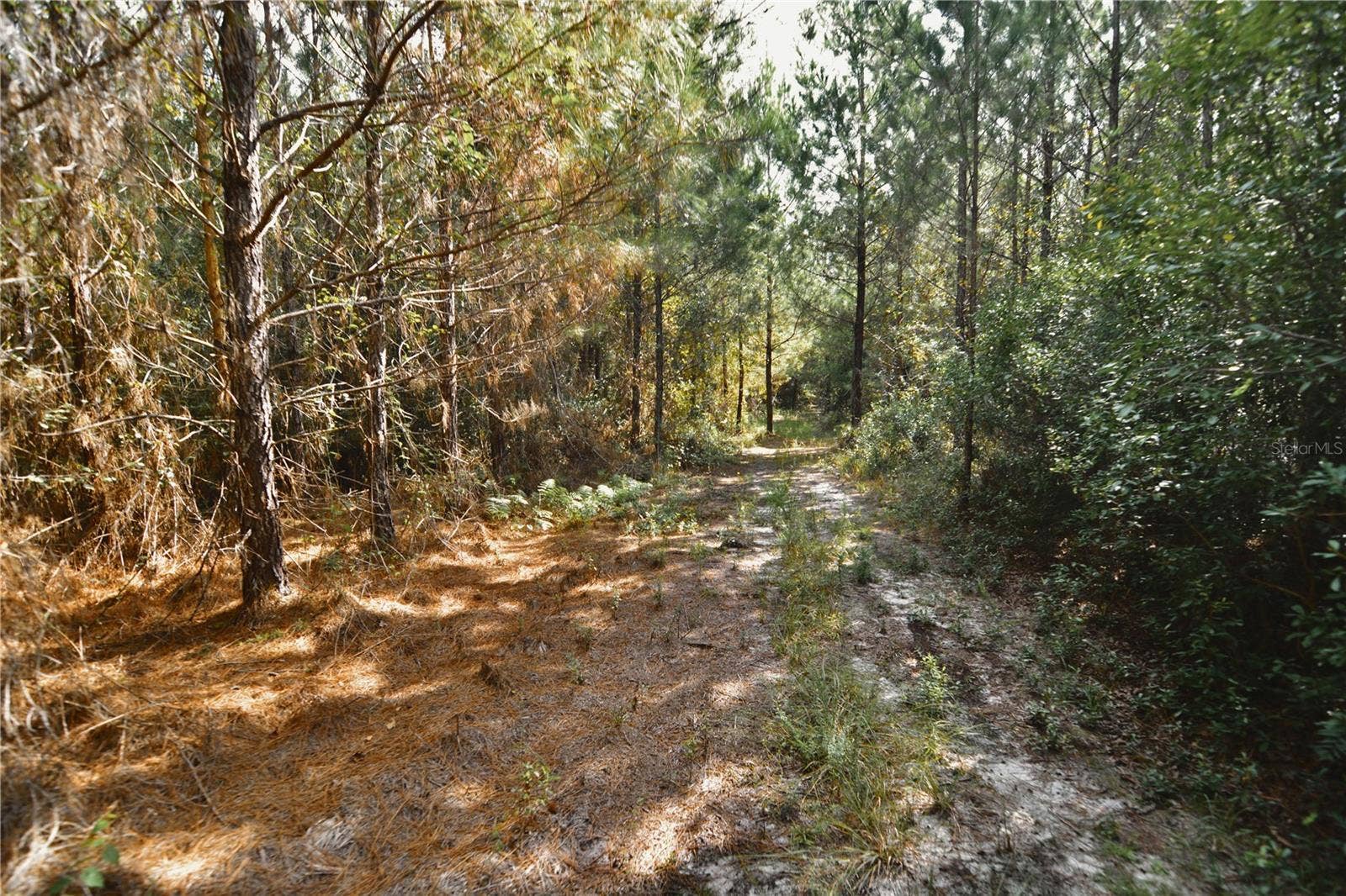 00 OLD FEDERAL ROAD, Quincy, FL 32351 00 OLD FEDERAL ROAD, Quincy, FL 32351