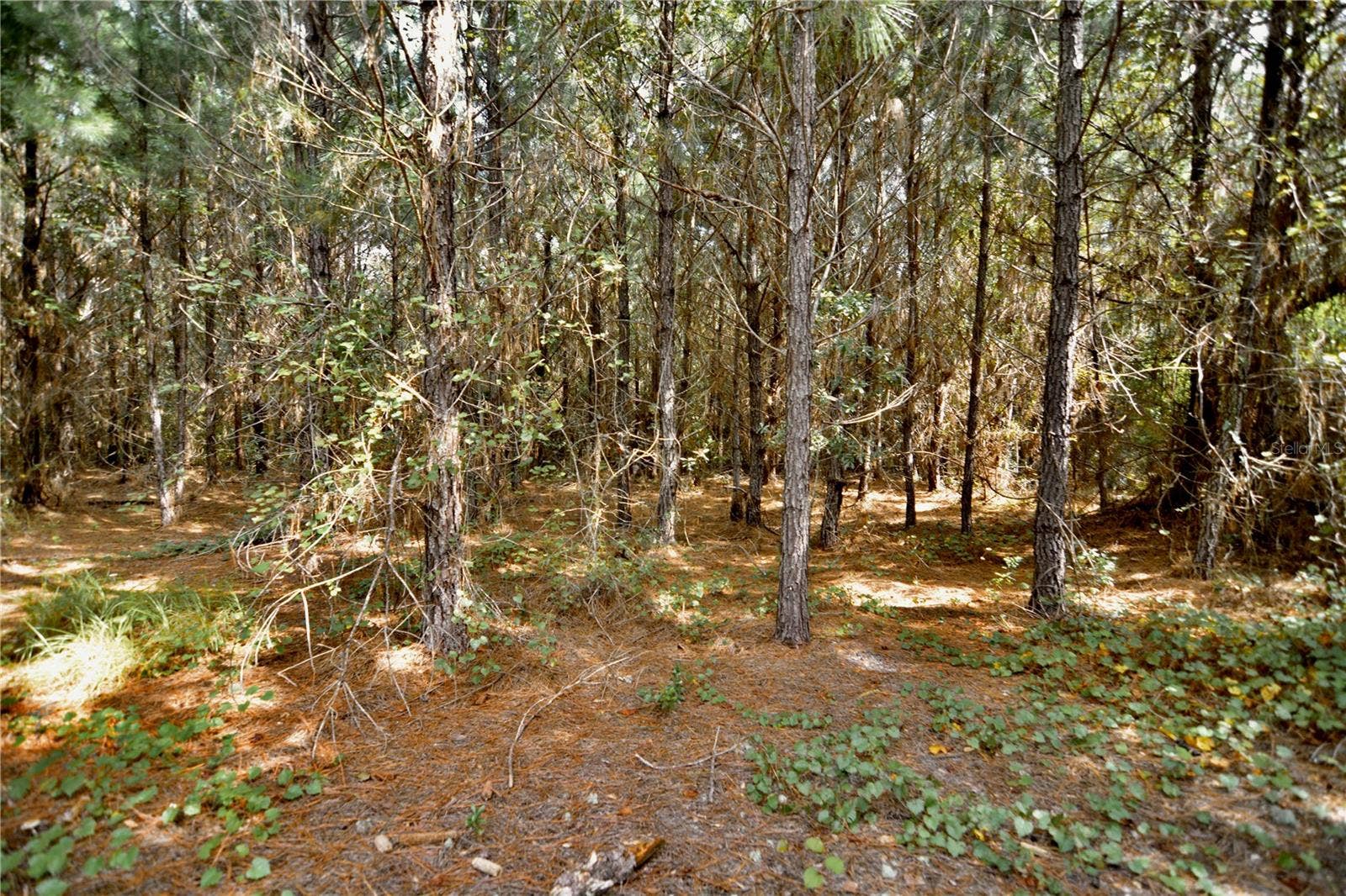 00 OLD FEDERAL ROAD, Quincy, FL 32351 00 OLD FEDERAL ROAD, Quincy, FL 32351