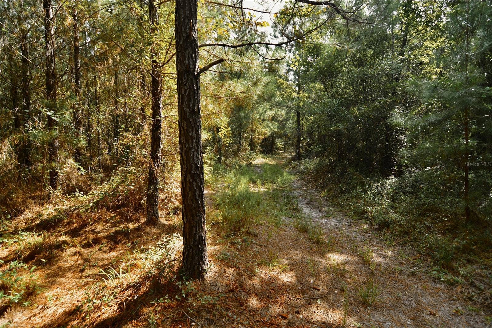 00 OLD FEDERAL ROAD, Quincy, FL 32351 00 OLD FEDERAL ROAD, Quincy, FL 32351