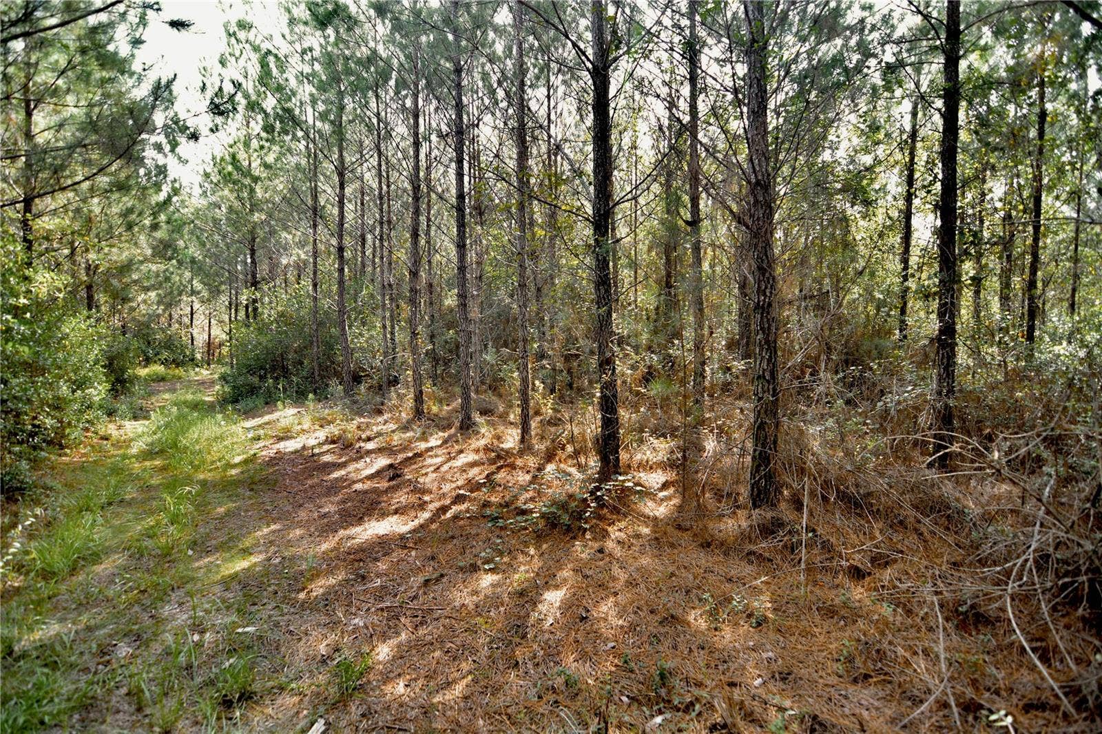 00 OLD FEDERAL ROAD, Quincy, FL 32351 00 OLD FEDERAL ROAD, Quincy, FL 32351