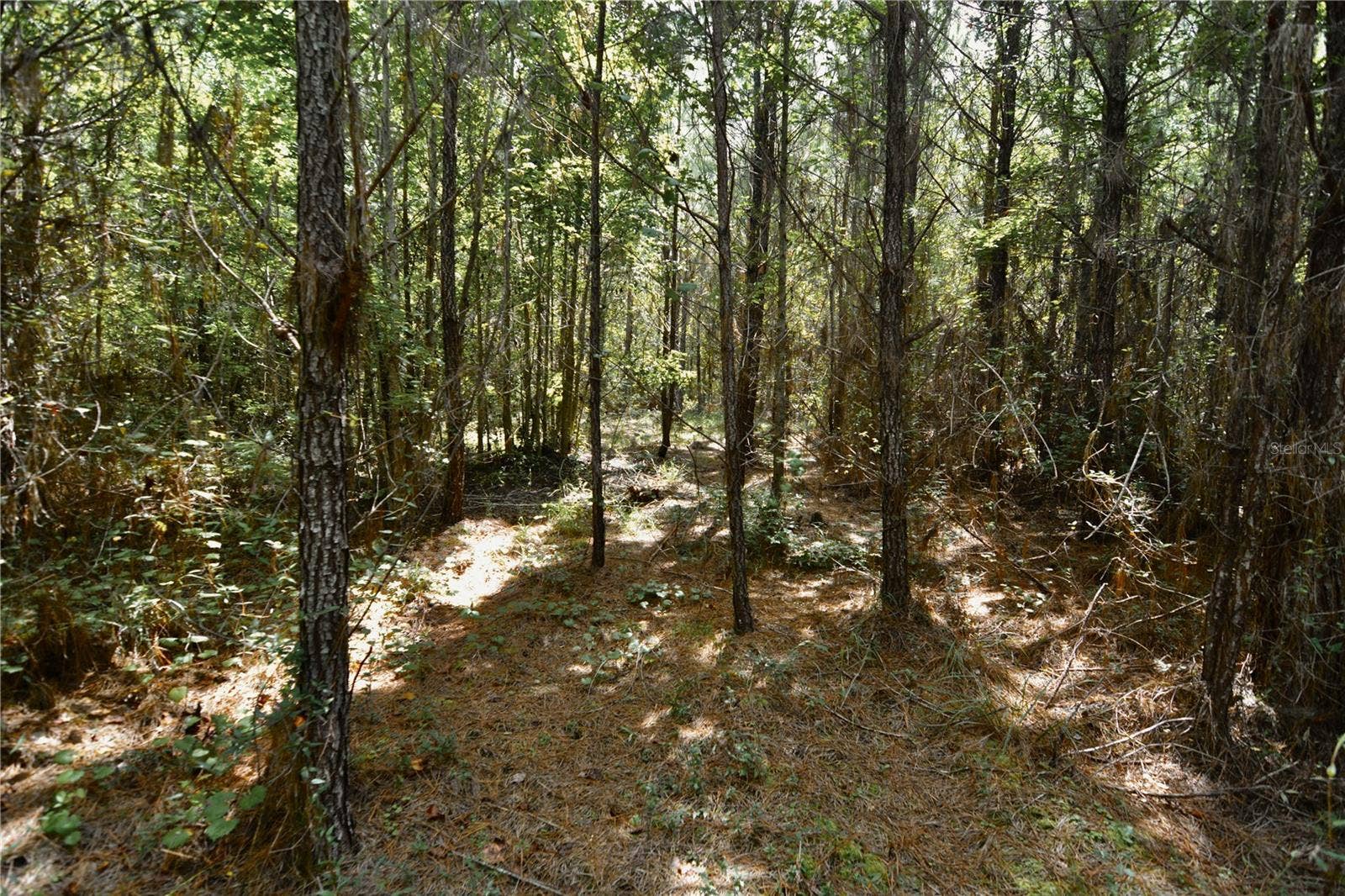 00 OLD FEDERAL ROAD, Quincy, FL 32351 00 OLD FEDERAL ROAD, Quincy, FL 32351