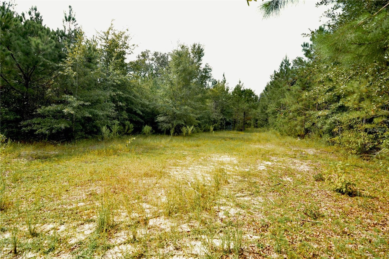 00 OLD FEDERAL ROAD, Quincy, FL 32351 00 OLD FEDERAL ROAD, Quincy, FL 32351