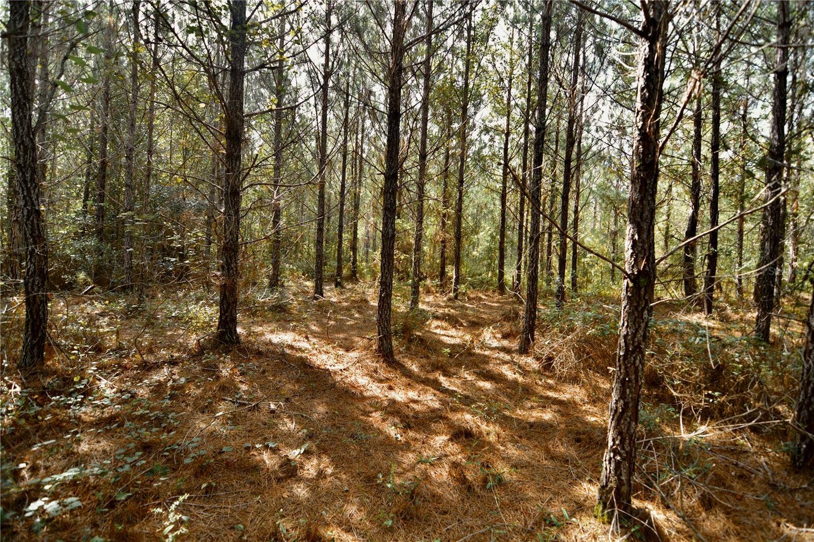 00 OLD FEDERAL ROAD, Quincy, FL 32351 00 OLD FEDERAL ROAD, Quincy, FL 32351