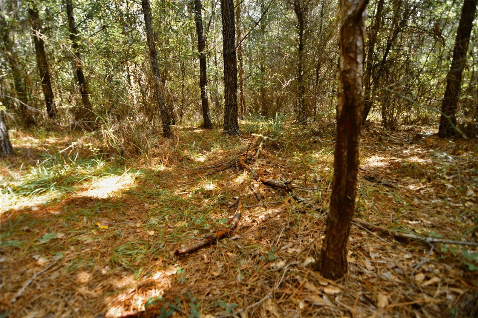 00 OLD FEDERAL ROAD, Quincy, FL 32351 00 OLD FEDERAL ROAD, Quincy, FL 32351