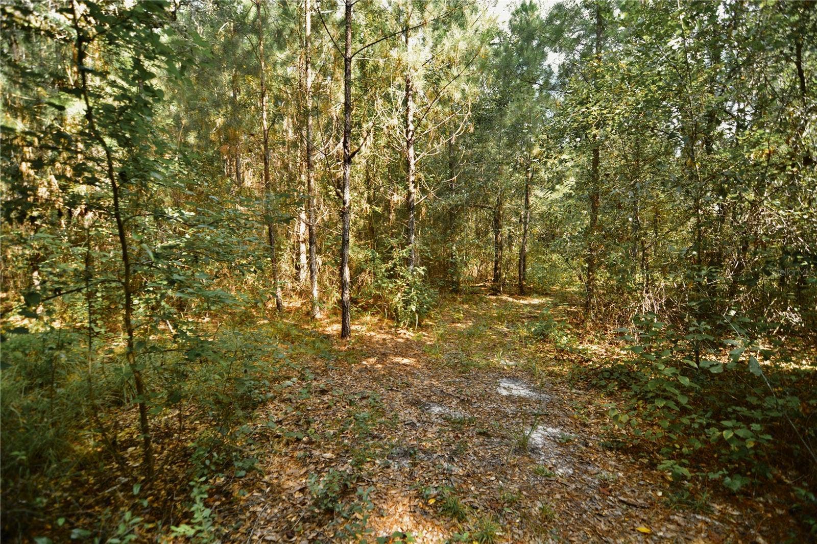00 OLD FEDERAL ROAD, Quincy, FL 32351 00 OLD FEDERAL ROAD, Quincy, FL 32351