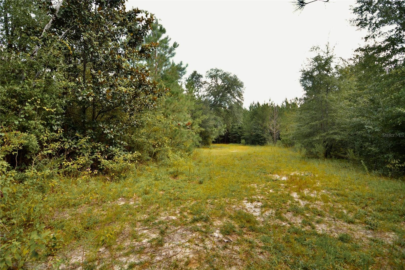 00 OLD FEDERAL ROAD, Quincy, FL 32351 00 OLD FEDERAL ROAD, Quincy, FL 32351