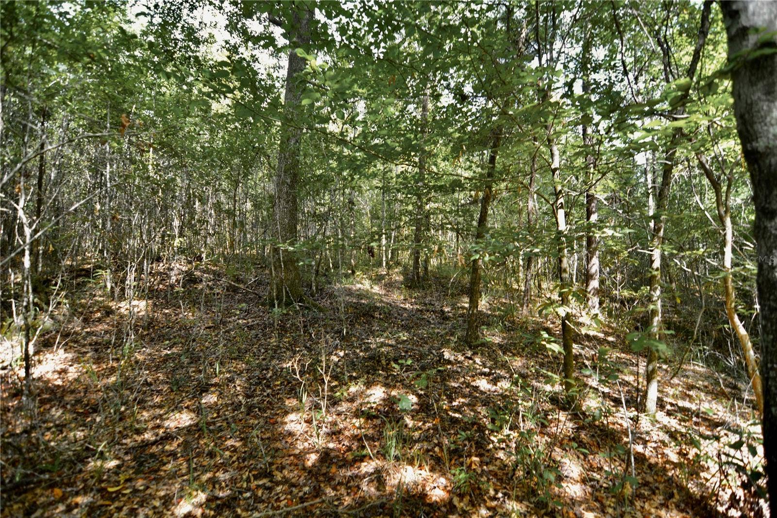 00 OLD FEDERAL ROAD, Quincy, FL 32351 00 OLD FEDERAL ROAD, Quincy, FL 32351