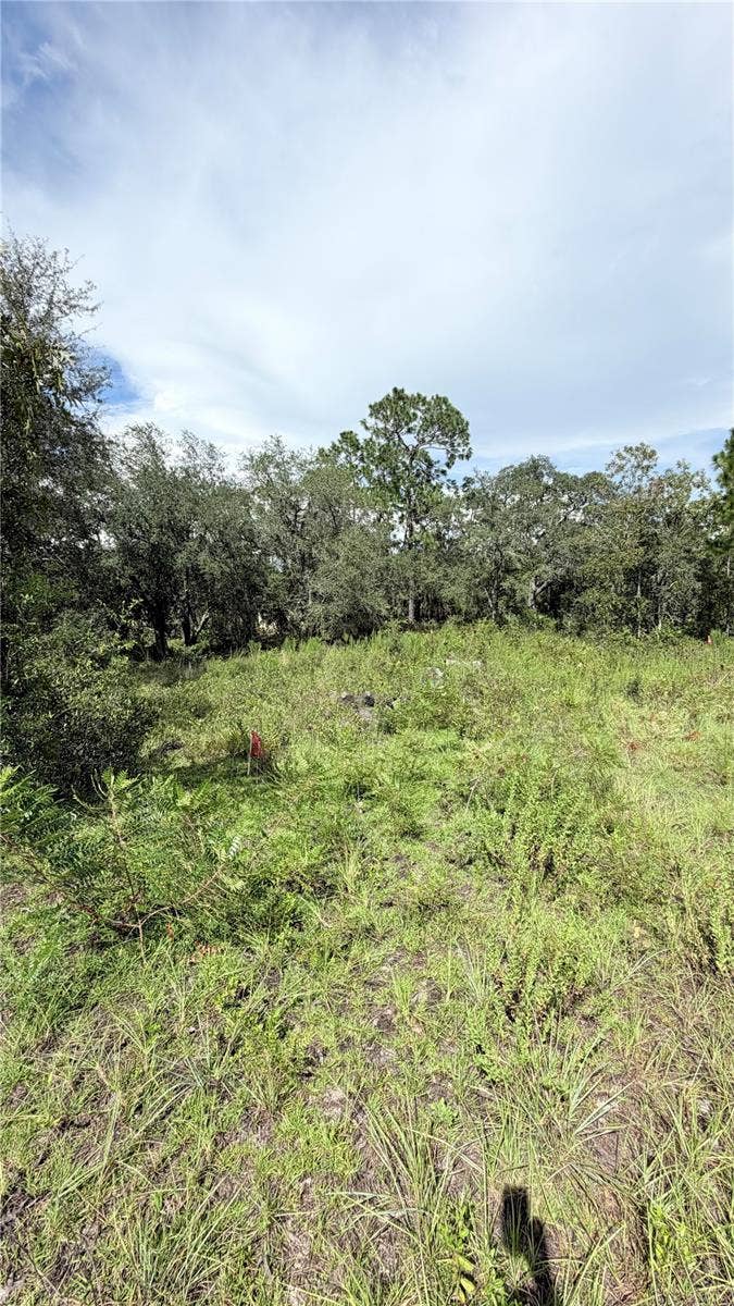 Property photo for TBD NE 65TH STREET, Williston, FL