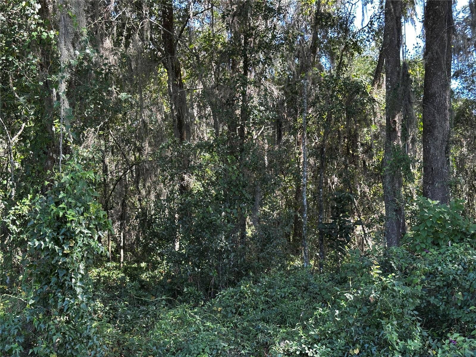 0000 NE WALDO ROAD, Gainesville, FL 32609