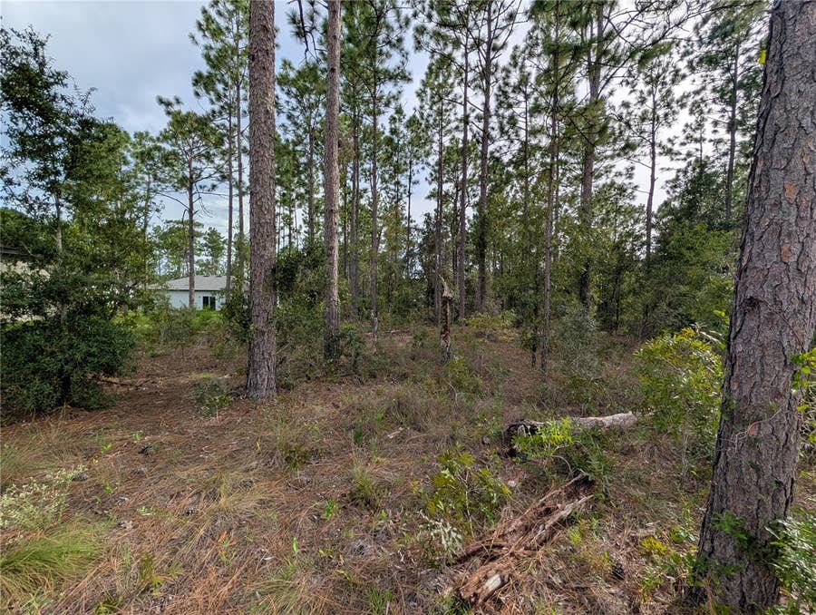 Property photo for 640 W HERONSBILL LANE, Citrus Springs, FL
