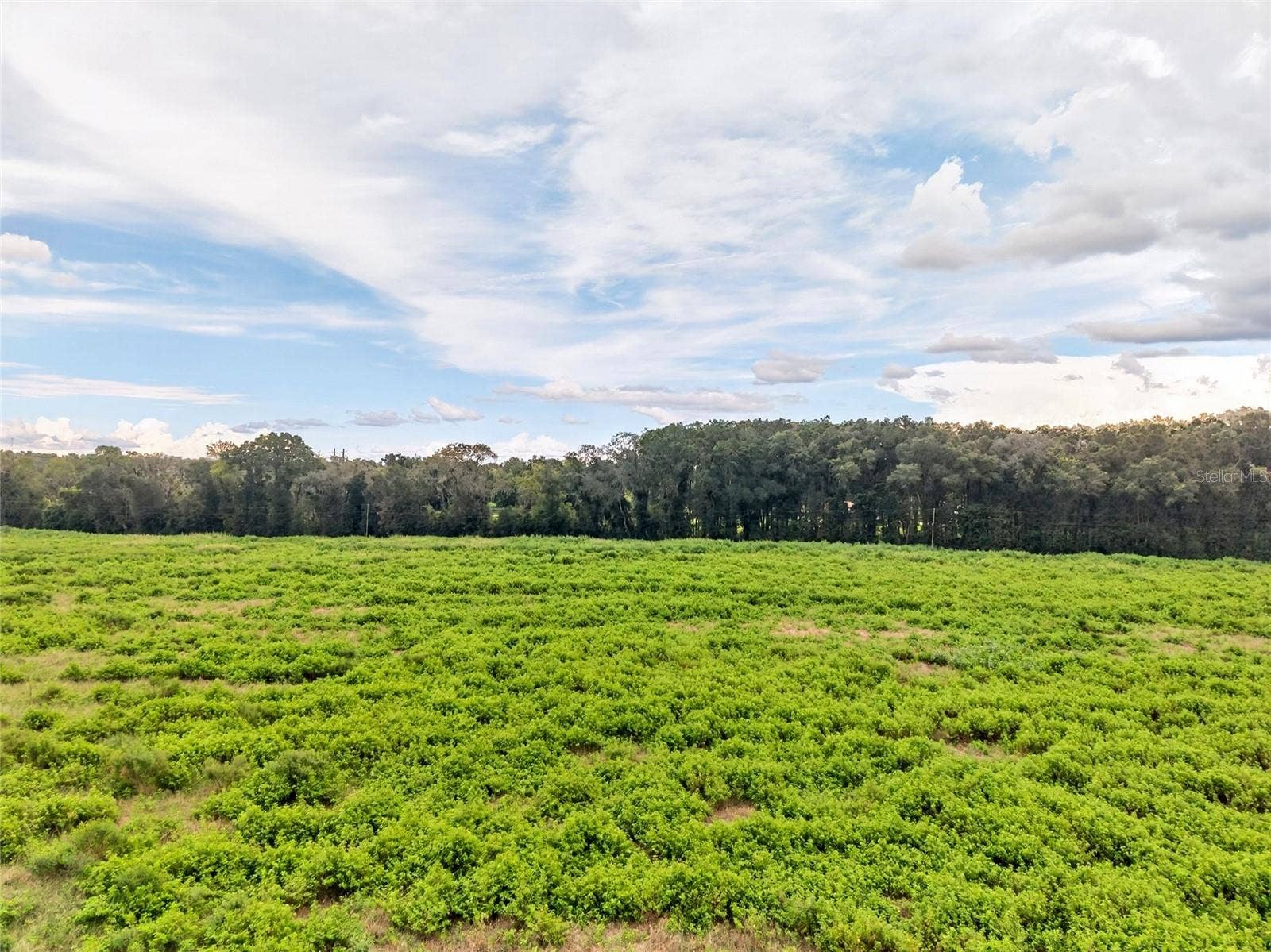 4949 NW 100TH STREET, Ocala, FL 34482 4949 NW 100TH STREET, Ocala, FL 34482