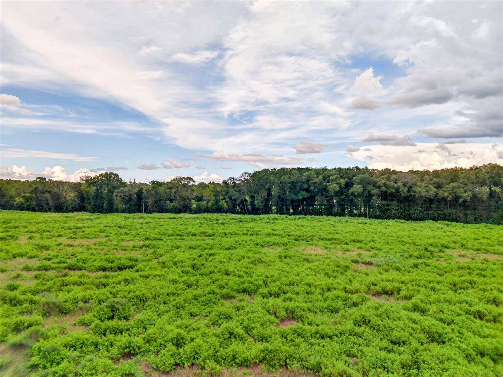 4949 NW 100TH STREET, Ocala, FL 34482 4949 NW 100TH STREET, Ocala, FL 34482
