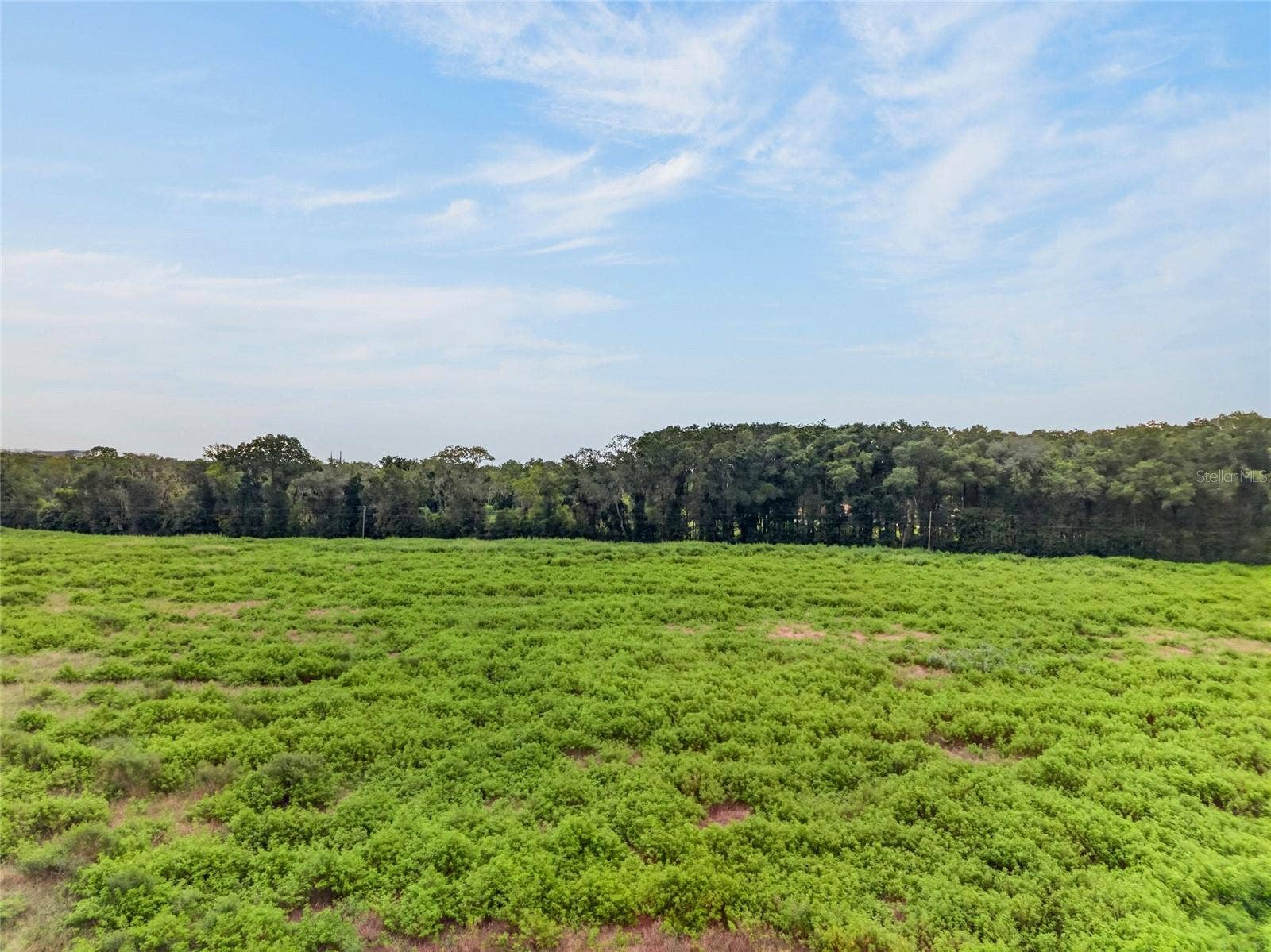4949 NW 100TH STREET, Ocala, FL 34482 4949 NW 100TH STREET, Ocala, FL 34482