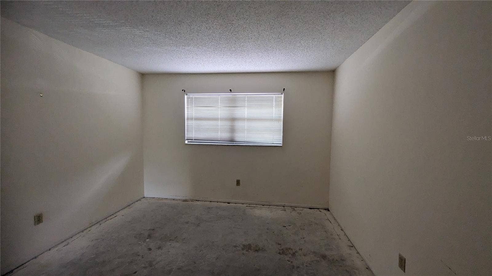 5980 TERRACE PARK DRIVE N, #206, St Petersburg, FL 33709 5980 TERRACE PARK DRIVE N, #206, St Petersburg, FL 33709