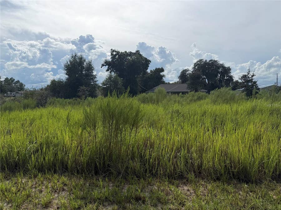 Property photo for TBD LOCUST PASS LOOP, Ocala, FL