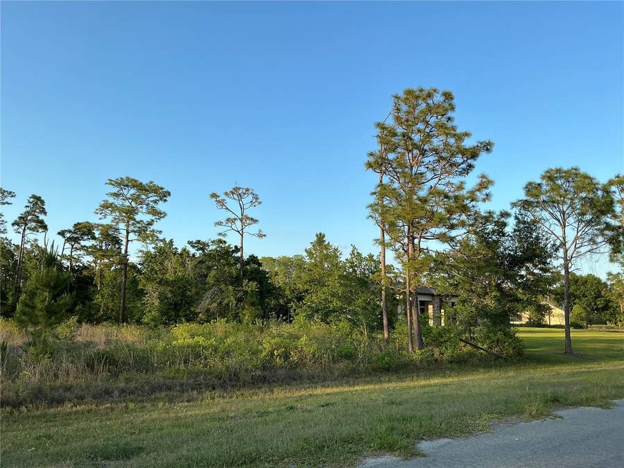 Property photo for REYNOLDS PARKWAY, Orlando, FL