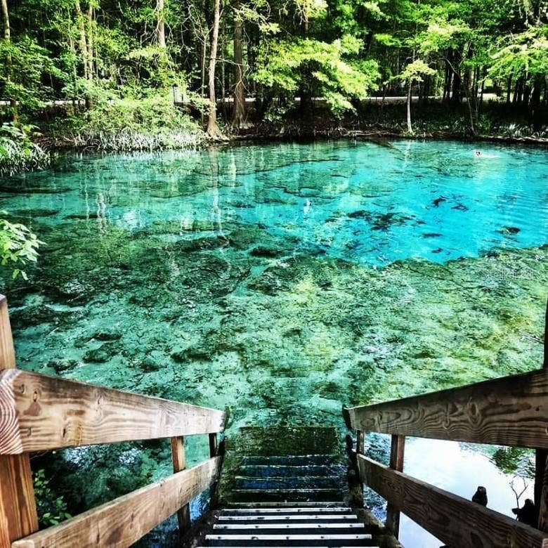 NW 96TH PL, Branford, FL 32008 Nearby Ginnie Springs!