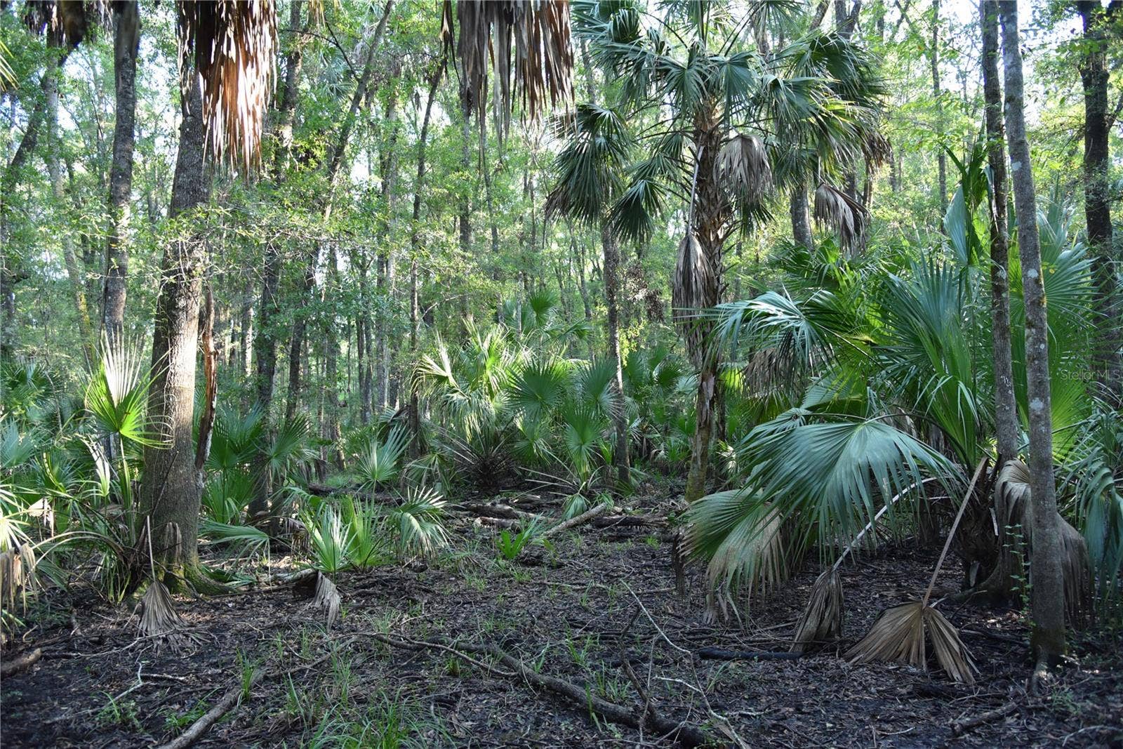 MIDDLE ROAD, Hilliard, FL 32046 MIDDLE ROAD, Hilliard, FL 32046