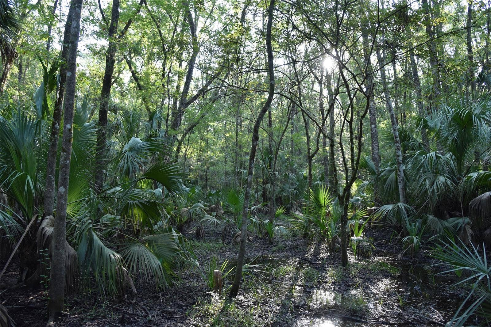 MIDDLE ROAD, Hilliard, FL 32046 MIDDLE ROAD, Hilliard, FL 32046