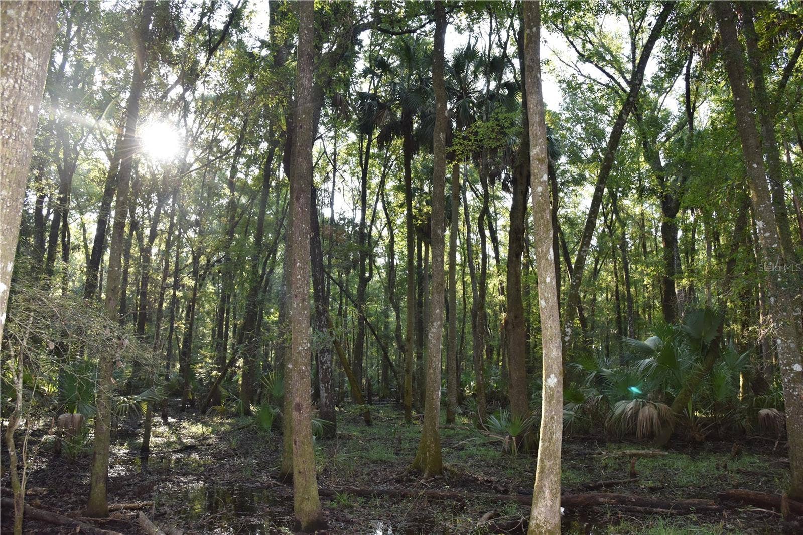 MIDDLE ROAD, Hilliard, FL 32046 MIDDLE ROAD, Hilliard, FL 32046