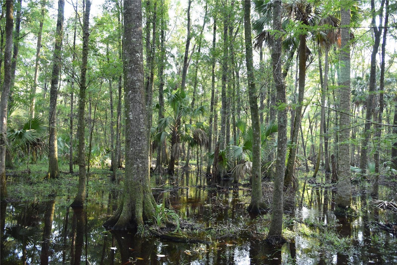 MIDDLE ROAD, Hilliard, FL 32046 MIDDLE ROAD, Hilliard, FL 32046