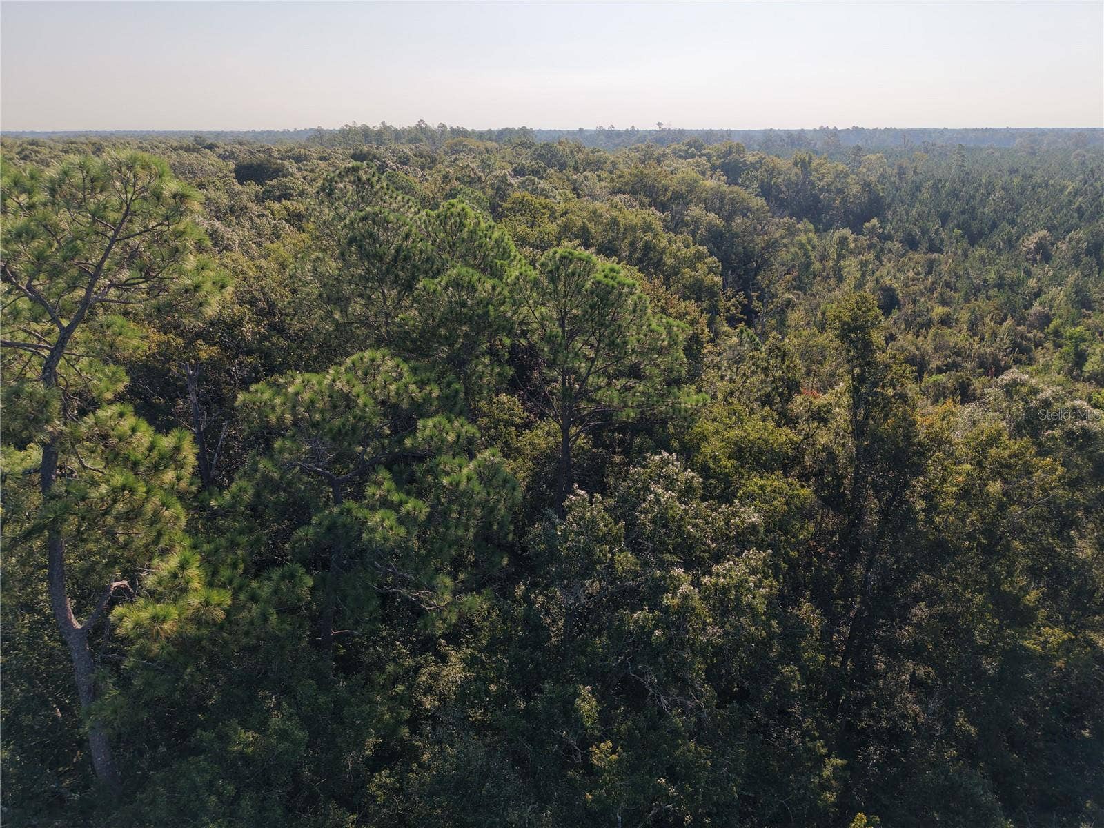 MIDDLE ROAD, Hilliard, FL 32046 MIDDLE ROAD, Hilliard, FL 32046