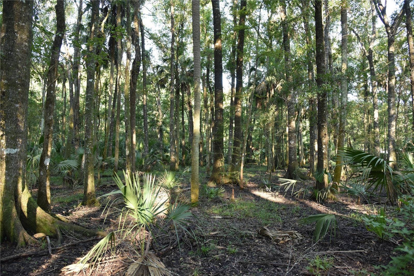 MIDDLE ROAD, Hilliard, FL 32046 MIDDLE ROAD, Hilliard, FL 32046