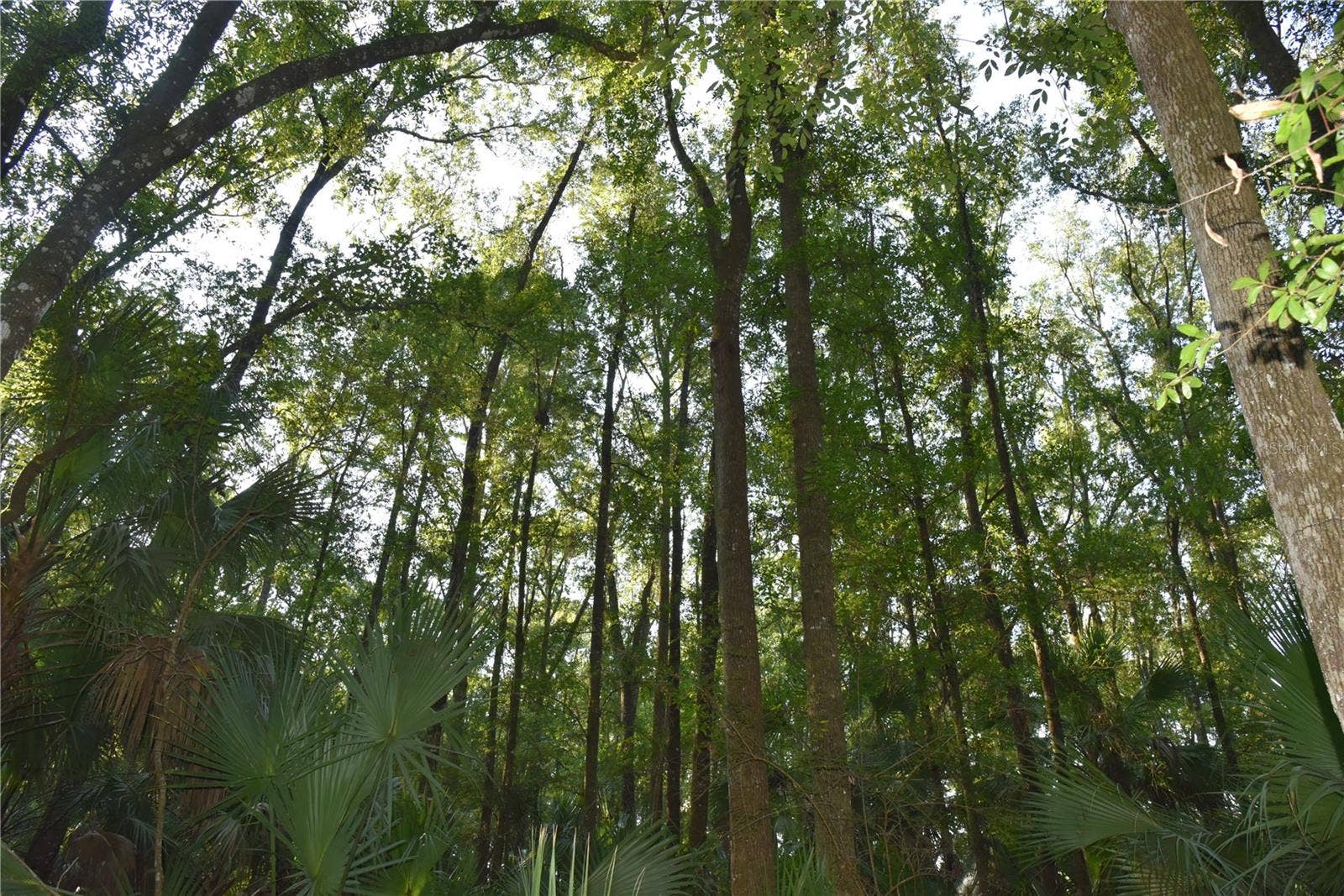 MIDDLE ROAD, Hilliard, FL 32046 MIDDLE ROAD, Hilliard, FL 32046
