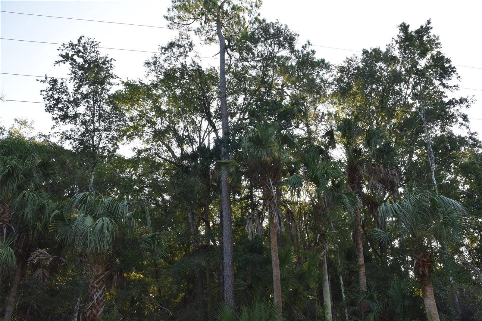 MIDDLE ROAD, Hilliard, FL 32046 MIDDLE ROAD, Hilliard, FL 32046