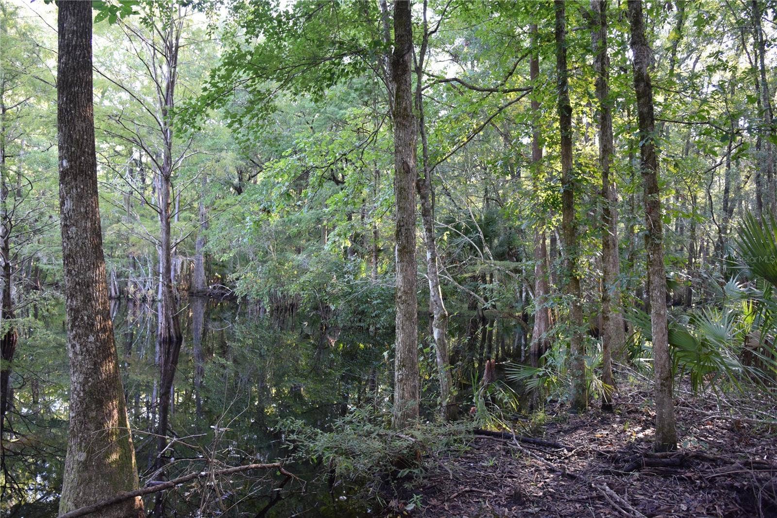 MIDDLE ROAD, Hilliard, FL 32046 MIDDLE ROAD, Hilliard, FL 32046