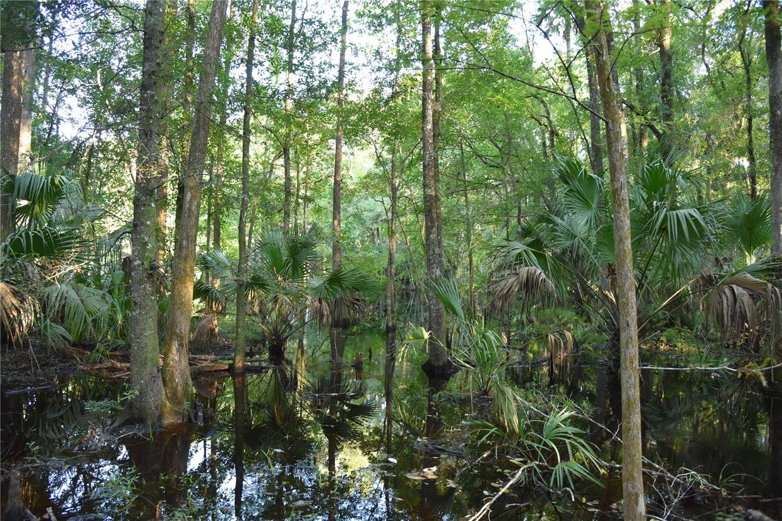 MIDDLE ROAD, Hilliard, FL 32046 MIDDLE ROAD, Hilliard, FL 32046