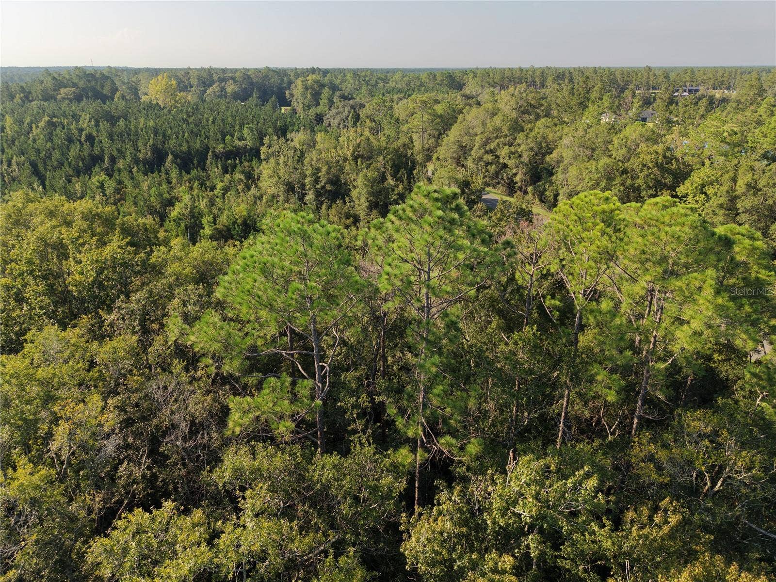 MIDDLE ROAD, Hilliard, FL 32046 MIDDLE ROAD, Hilliard, FL 32046
